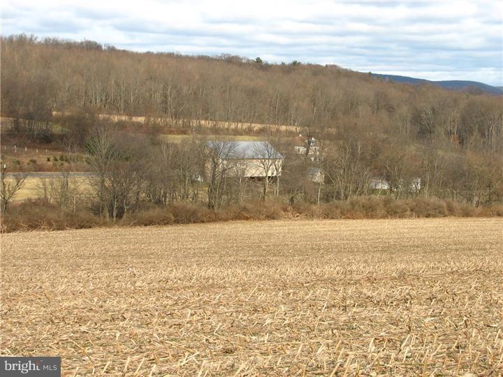 0 Kimmels Church Rd unit 1003619092, Orwigsburg, PA 17961 - photo 1