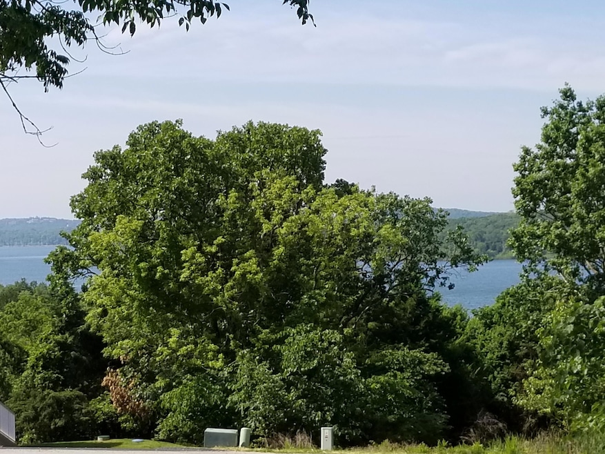 Tbd Lot 40 Summer Rd, Ruth B Rural Township, MO 65686 - photo 1