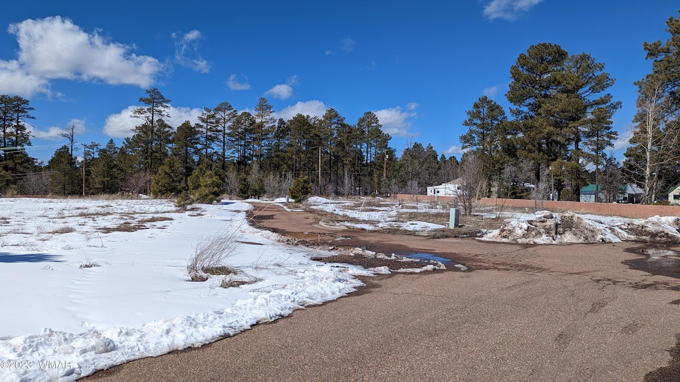 93 E White Mountain Blvd, AZ 85935