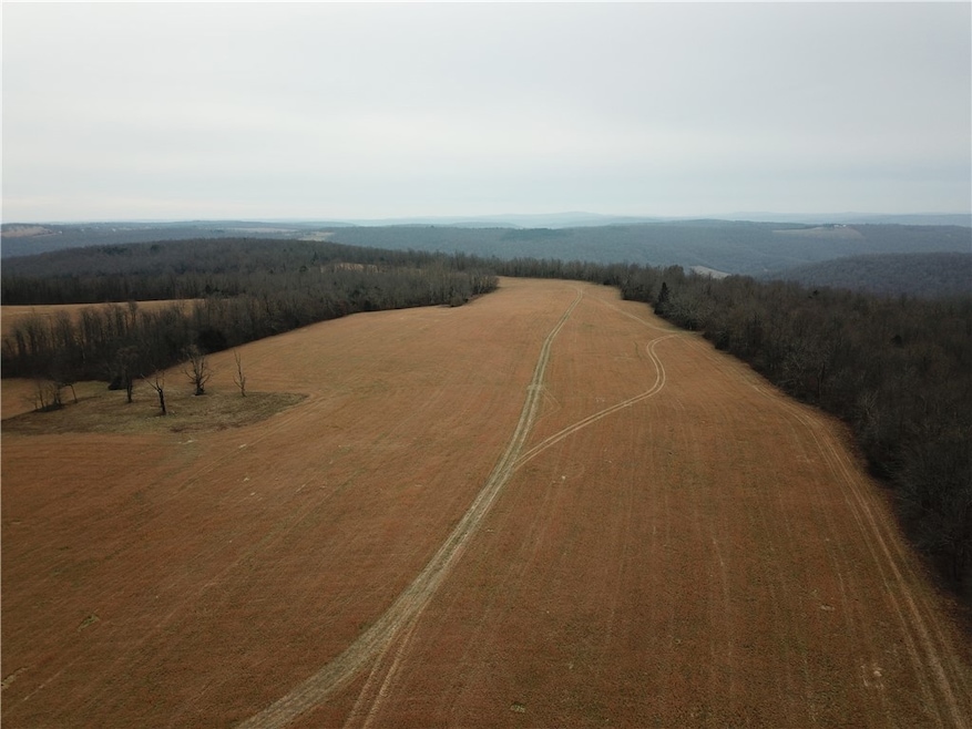 0 Liberty Rd unit 1296842, Leslie, AR 72645 - photo 1