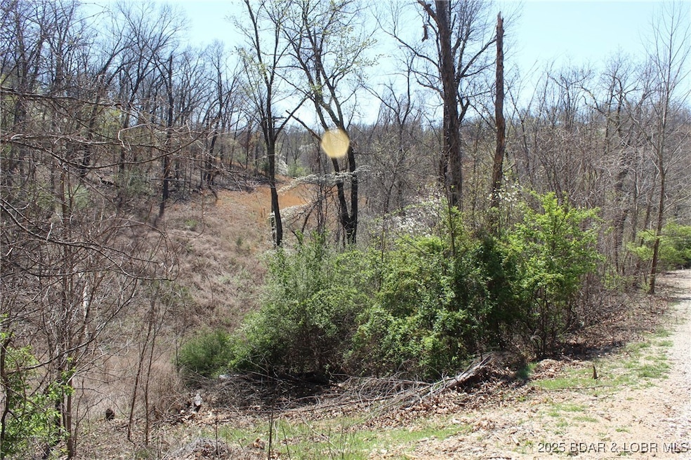 Lots 6, 7, 8 Lillie Bug Ln, Sunrise Beach, MO 65079 - photo 1