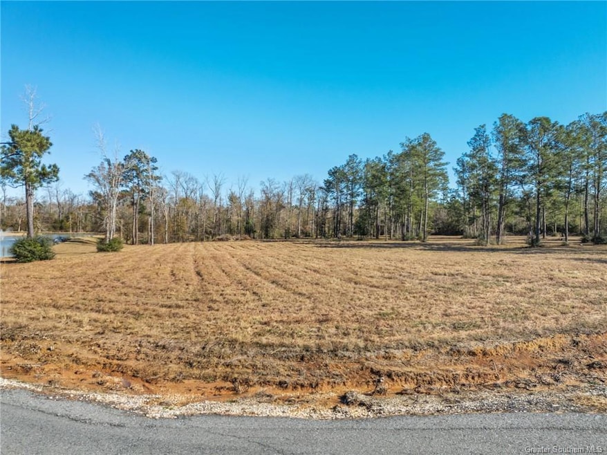 0 John Paul Moore Rd, Sulphur, LA 70663 - photo 1