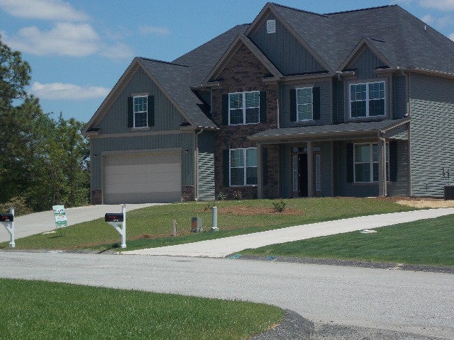 Main View