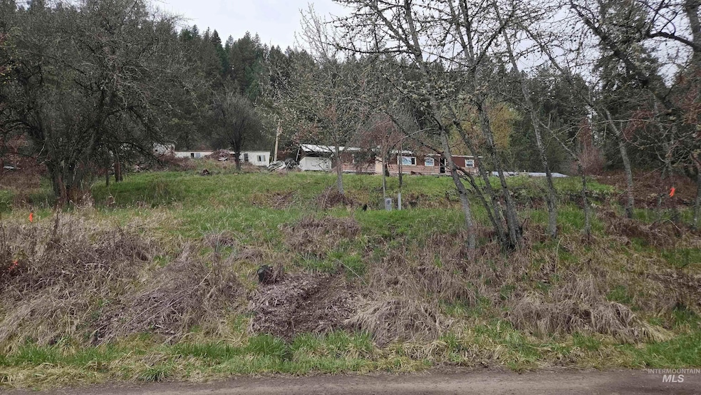TBD Pine St Blk 43 Lot 2, Peck, ID 83545 - photo 1