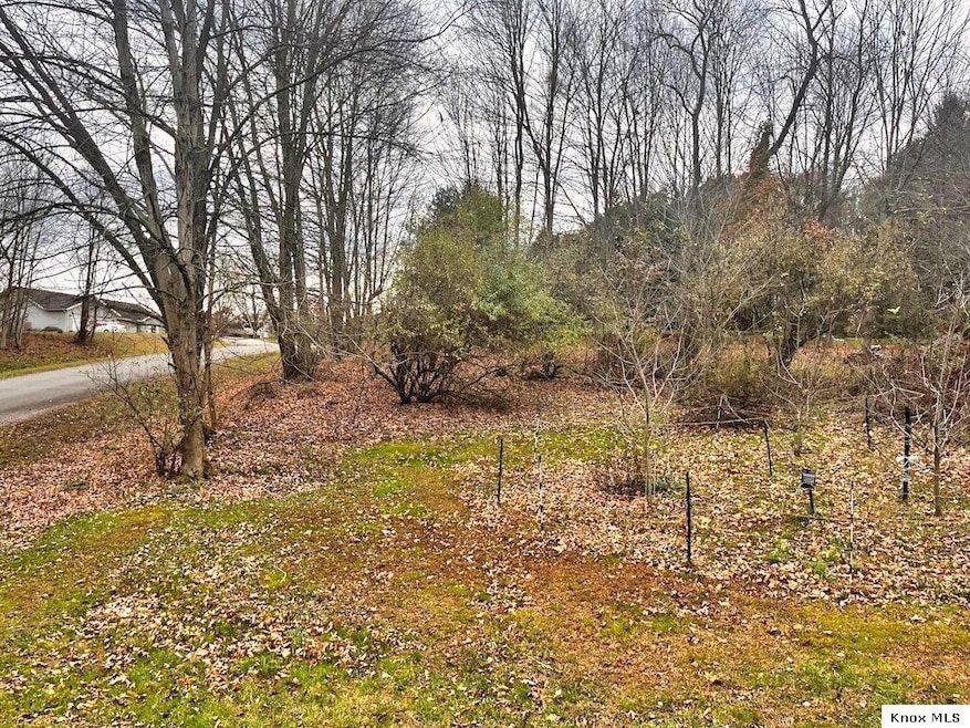 873 Terrace View Dr, Apple Valley, OH 43028 - photo 1