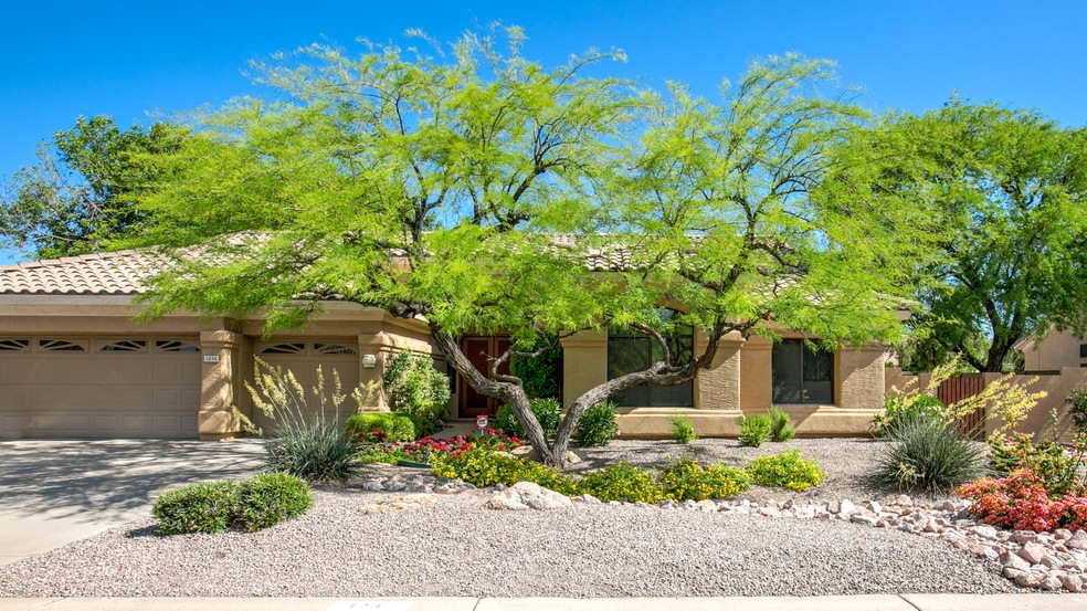 Beautiful Landscaping