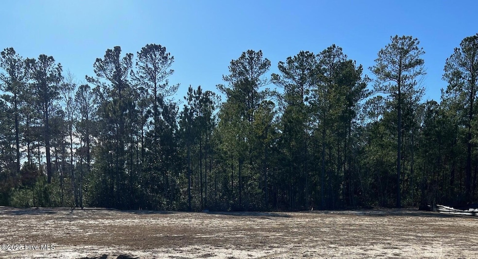 3038 W Timber Crest Dr, Leland, NC 28451 - photo 1