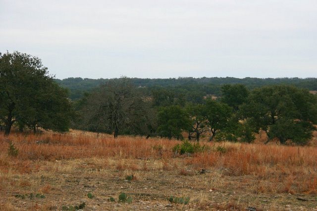 0 Hartmann Ranch Way unit 67559, Fredericksburg, TX 78624 - photo 1