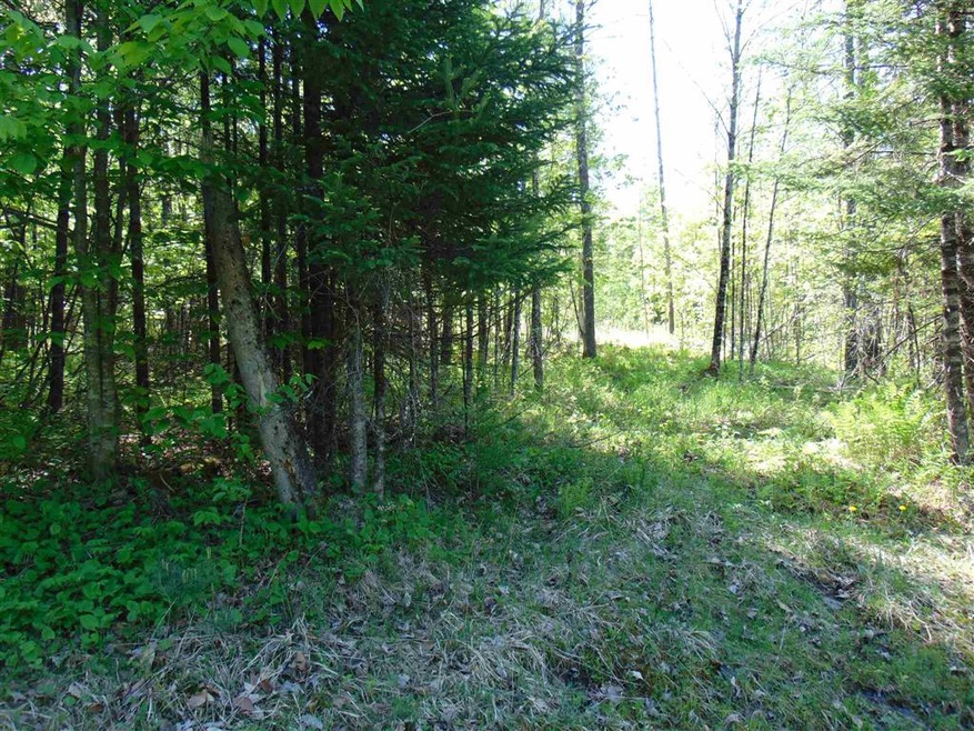 3 Old Bradley Rd unit 3, Saint Johnsbury, VT 05819 - photo 1