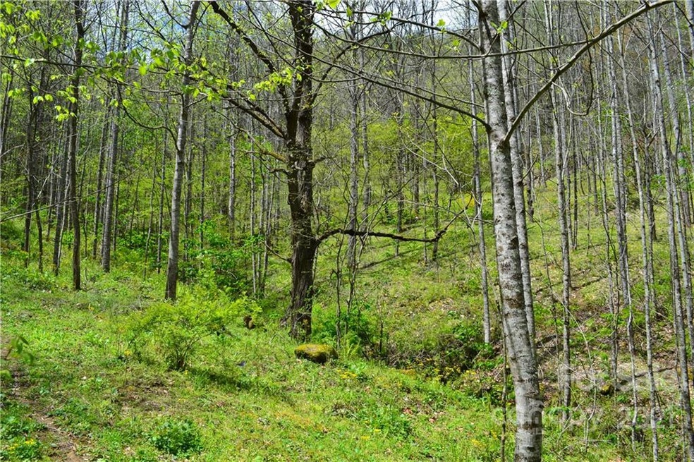 n/a Bald Mountain Rd, Burnsville, NC 28714 - photo 1