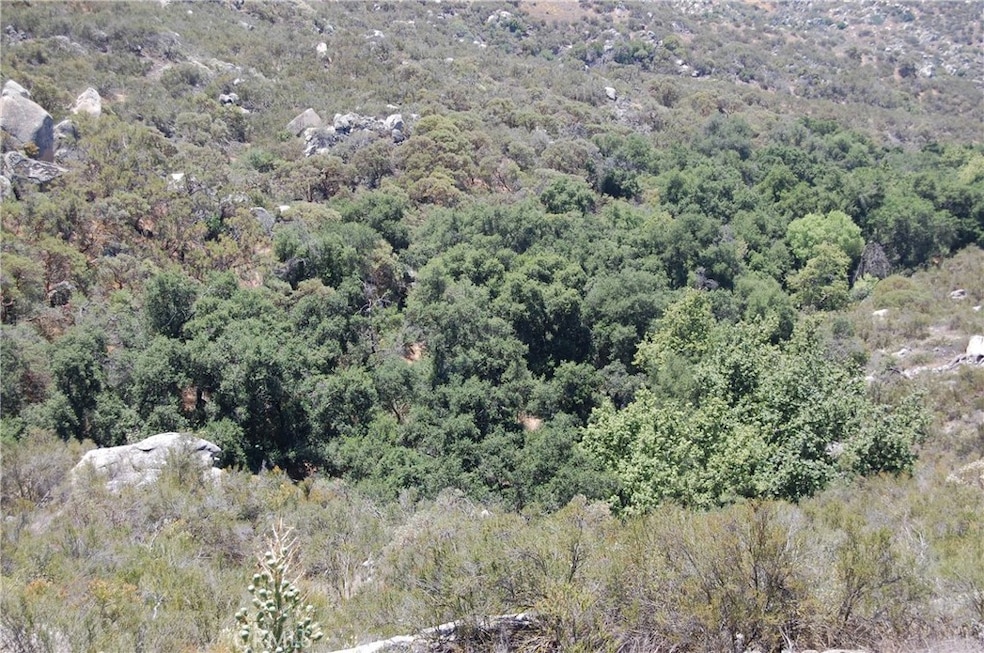 0 Doe Ln unit IG25132605, Hemet, CA 92544 - photo 1