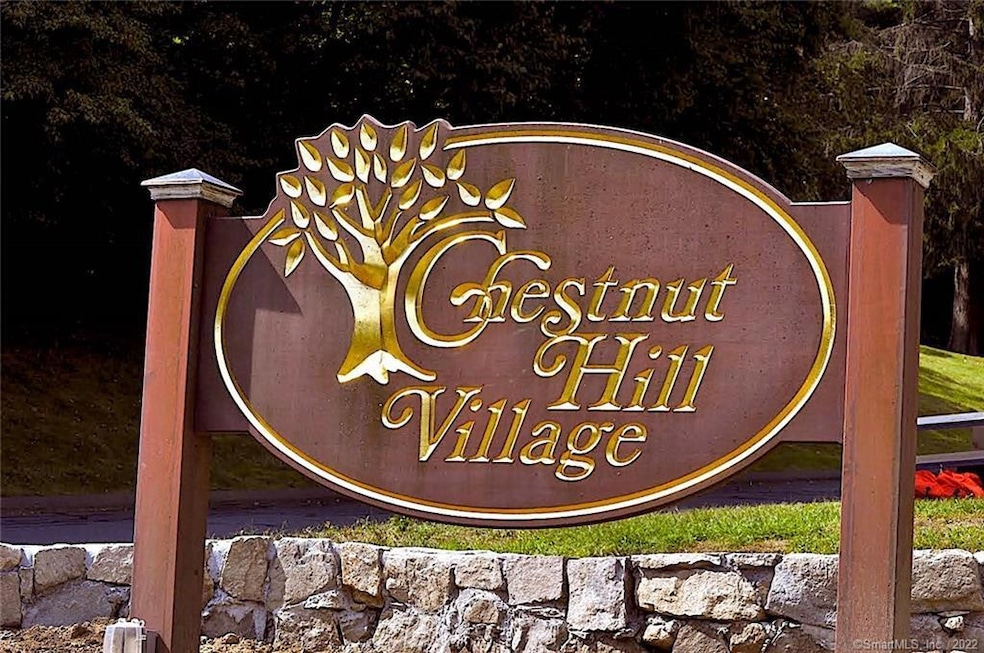 85 Chestnut St unit E, Bethel, CT 06801 - photo 1