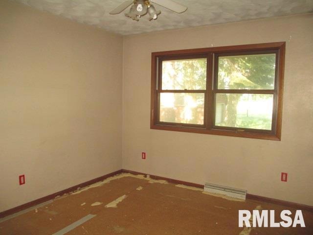 321 Ferry Rd, Geneseo, IL 61254 - photo 1