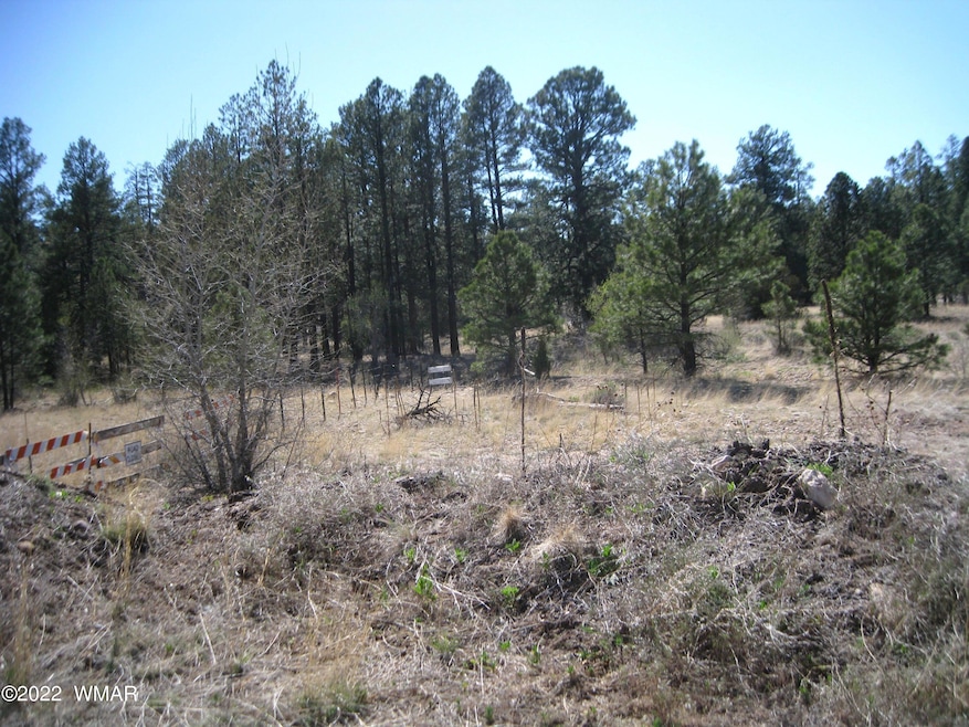 Meadow Road