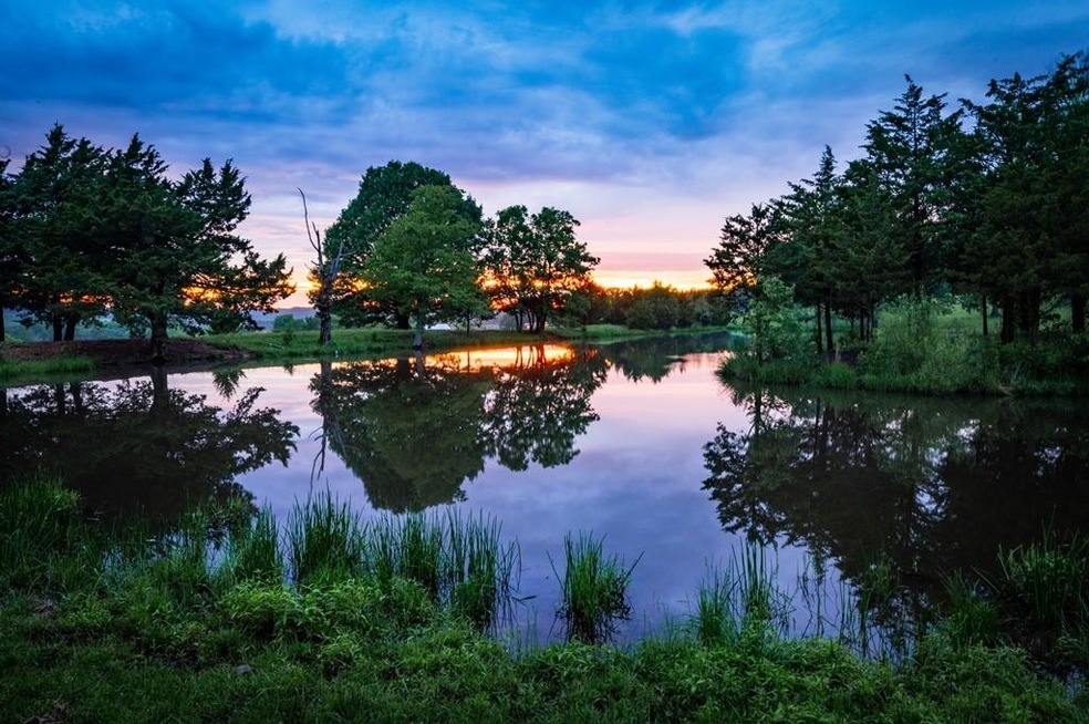 16951 Dripping Springs, West Fork, AR 72774 - photo 1