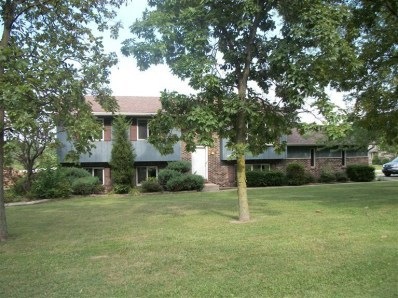 8515 Burr St, Crown Point, IN 46307 - photo 1