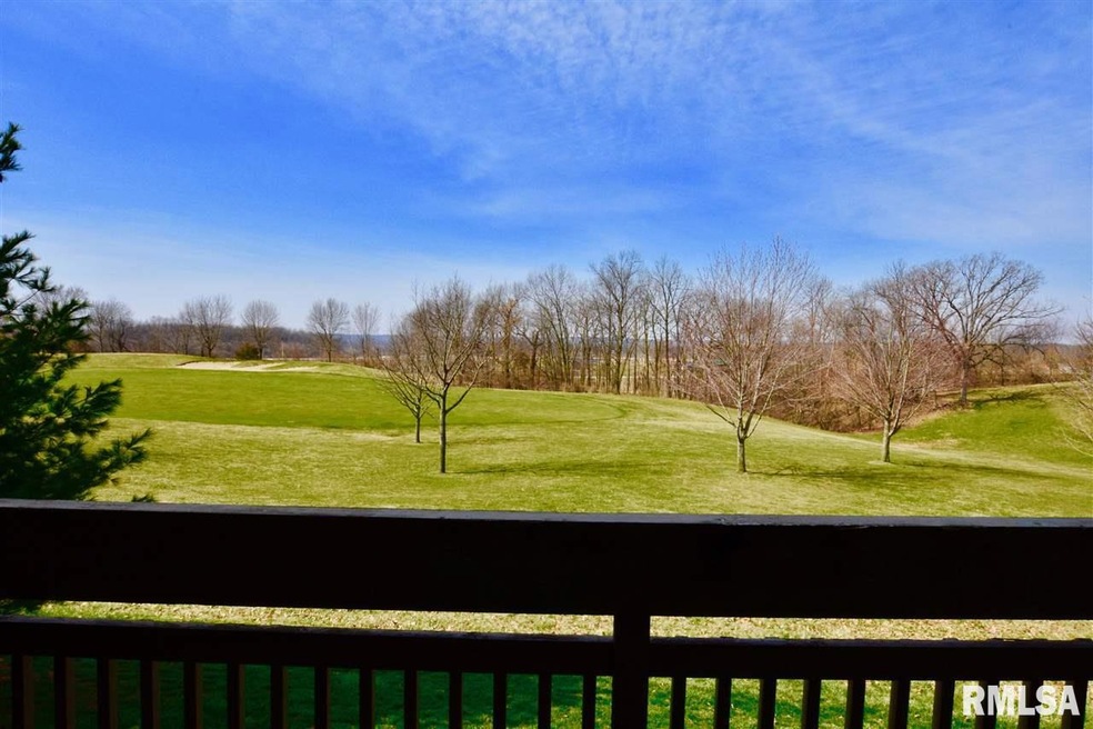 4591 N Thornhill Dr, Peoria, IL 61615 - photo 1