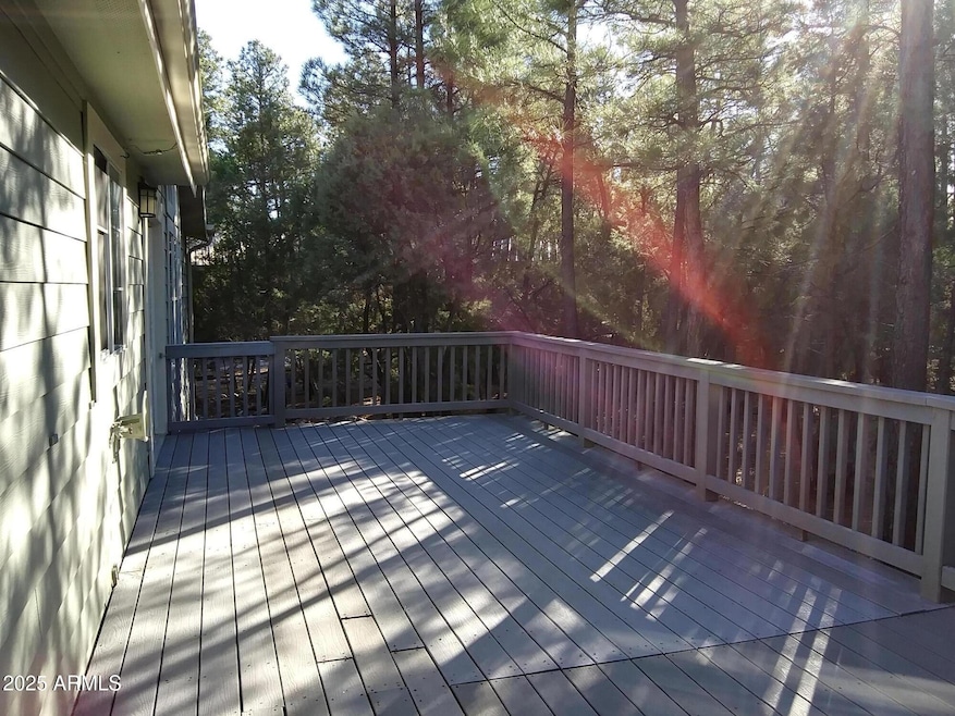BACK DECK 1