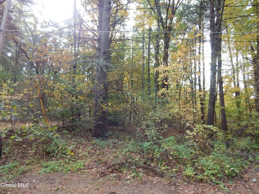 L1 Vincek Ln, Wilton, NY 12866 - photo 1