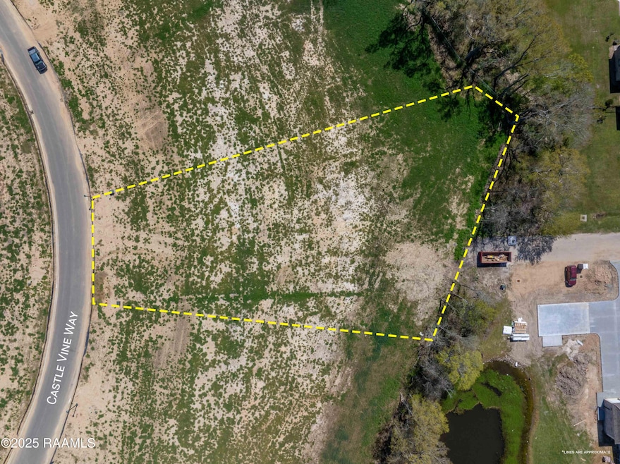 126 Castle Vine Way, Lafayette, LA 70508 - photo 1