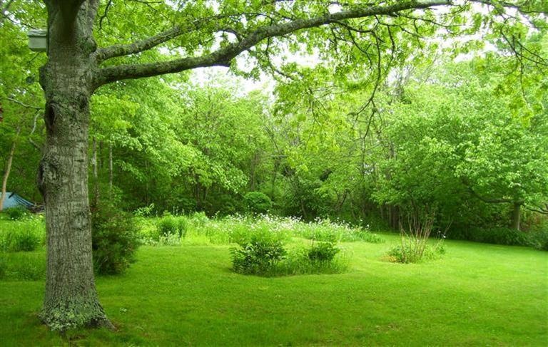 29 Lynwood Terrace, East Falmouth, MA 2536 - photo 1