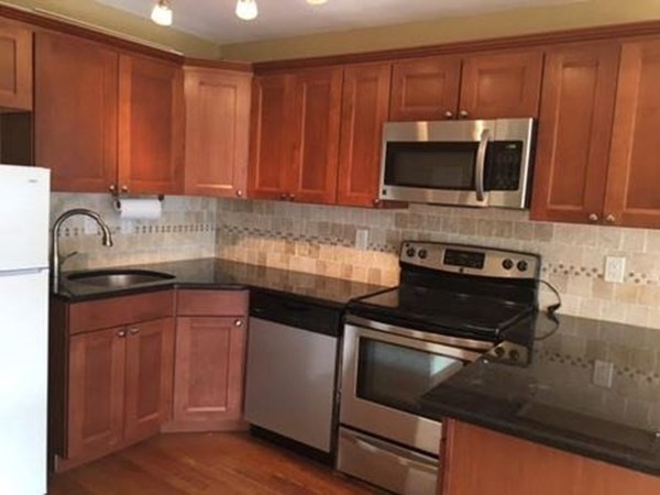 Hammond Park Condominiums unit 306, Chestnut Hill, MA 02467 - photo 1