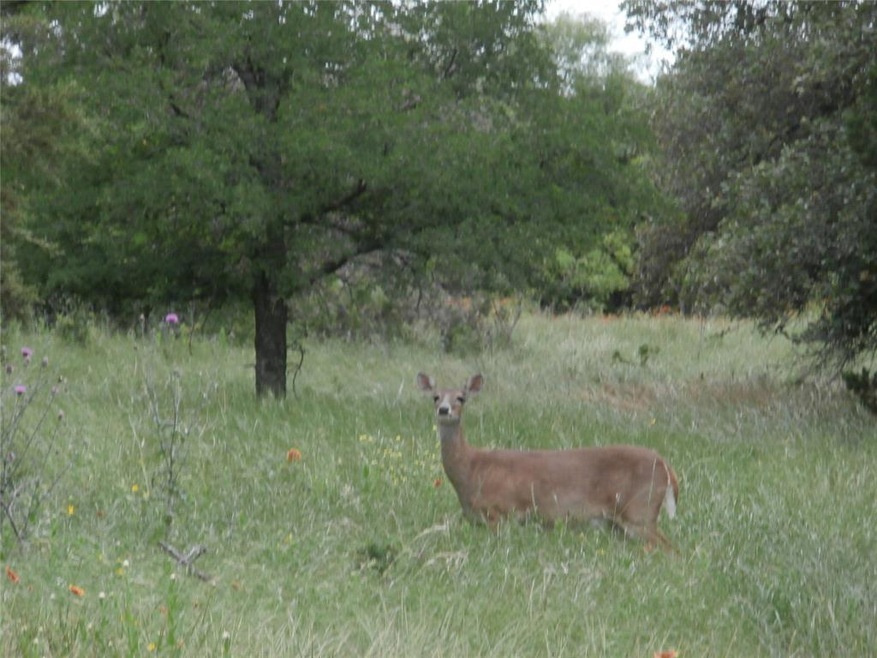 1516 Deerwood Ct, Whitney, TX 76692 - photo 1