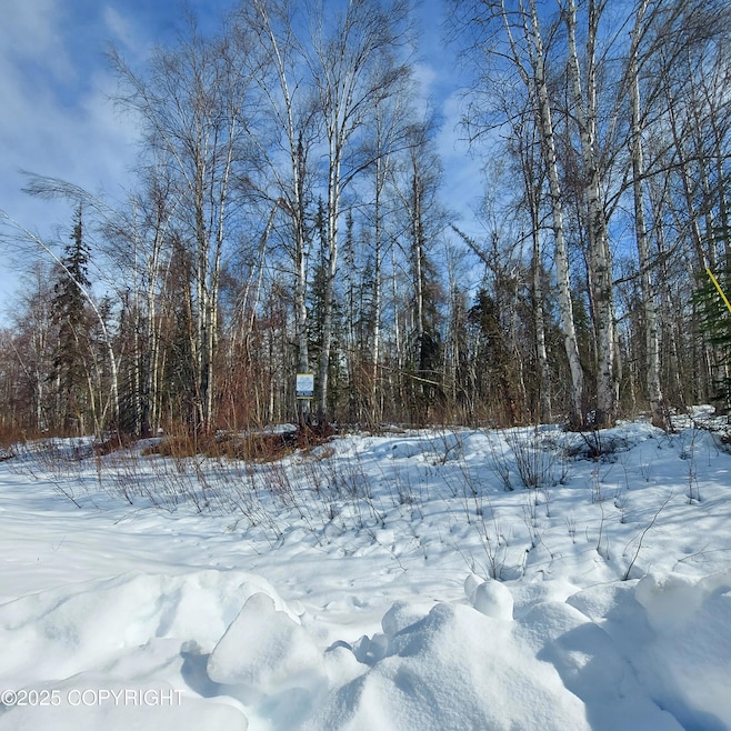 1969 S Clara Cir, Talkeetna, AK 99676 - photo 1
