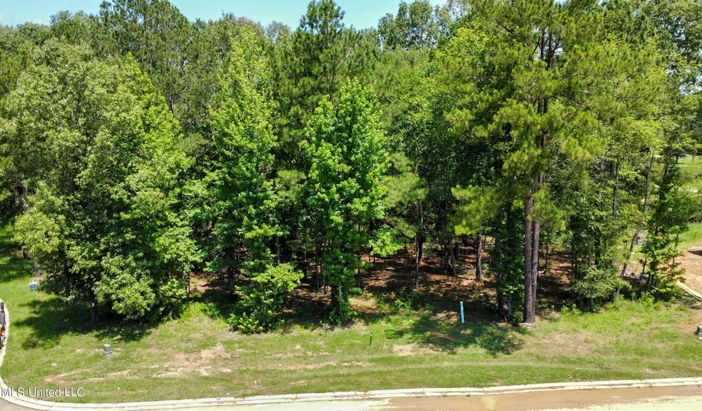 cedarhill lot1