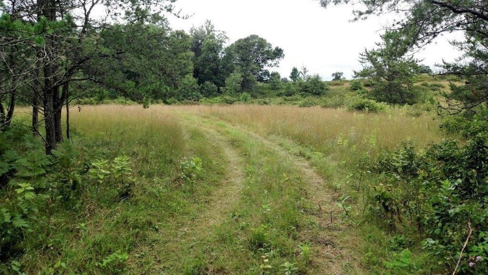 0 Hwy A unit 905098, Webster, WI 54893 - photo 1