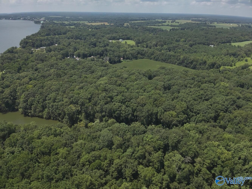49.59 +/- Acres Snake Rd, Athens, AL 35611 - photo 1