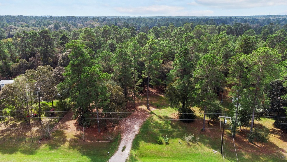 26077 Bent Oak Dr, Hockley, TX 77447 - photo 1