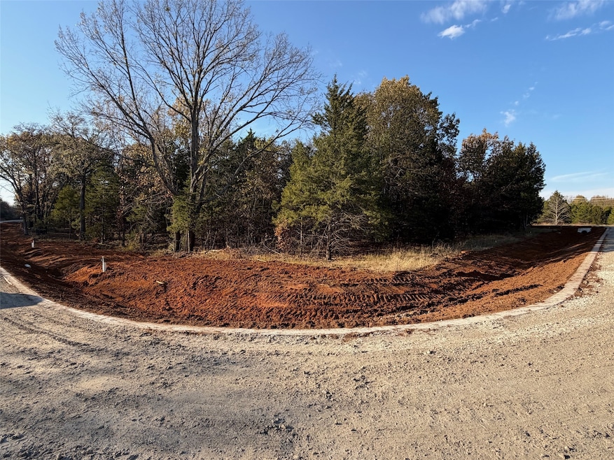 491 Reflection Bay Blvd, Gordonville, TX 76245 - photo 1