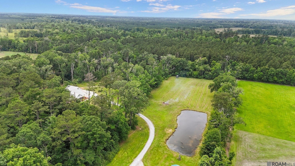 19397 Louisiana 42, Livingston, LA 70754 - photo 1