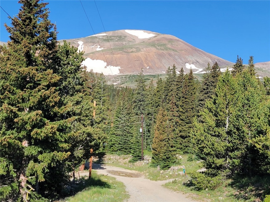 22 Rons Rd, Alma, CO 80420 - photo 1