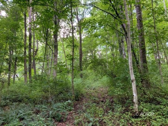 11175 Gore-Greendale Rd, Logan, OH 43138 - photo 1