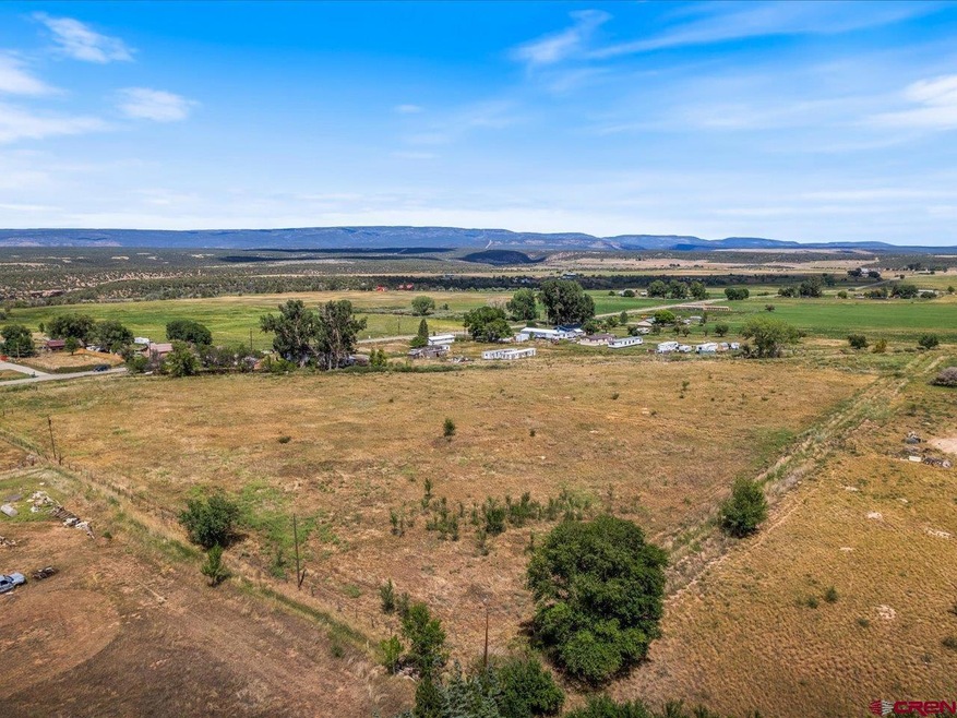 TBD Highway 145, Redvale, CO 81431 - photo 1