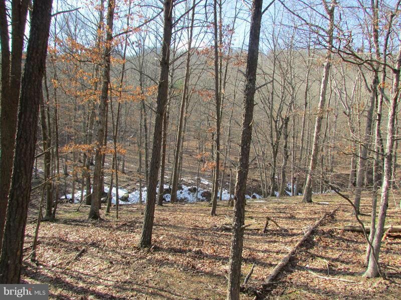 0 Trough Rd unit 1000213981, Moorefield, WV 26836 - photo 1