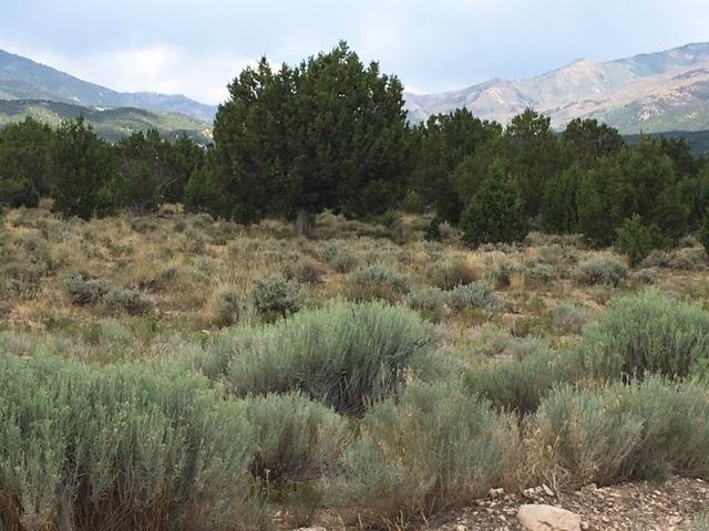4.80 Acres