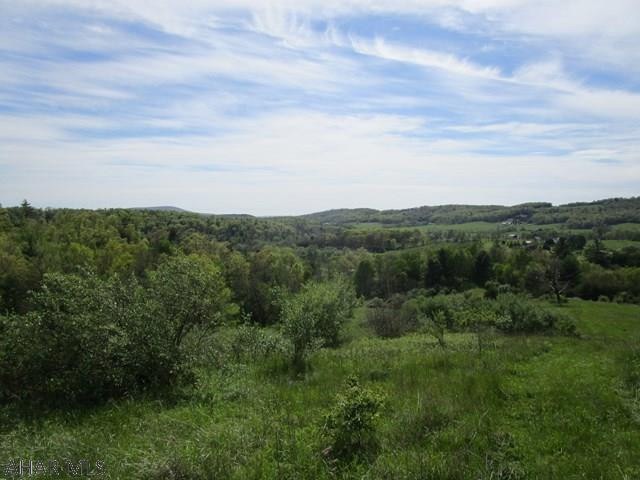 Off Imlertown Rd, Bedford Township, PA 15522 - photo 1