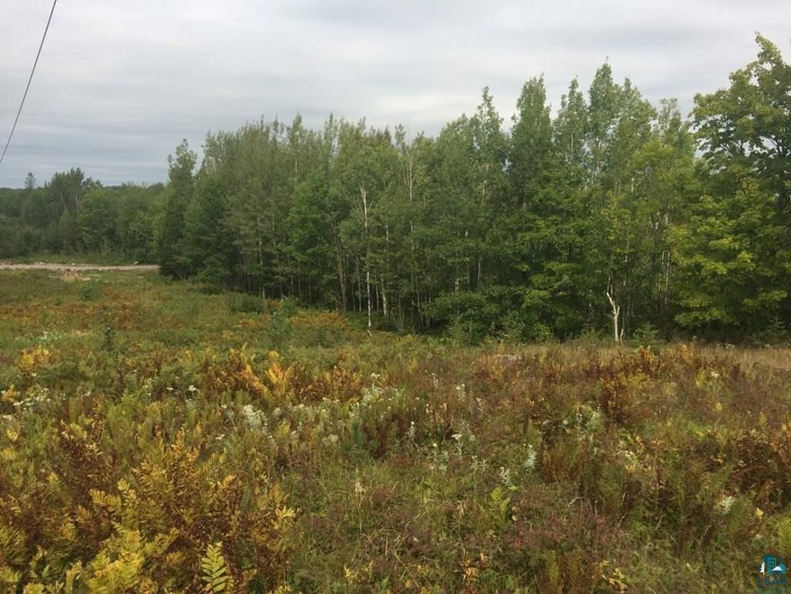 xxxx Jackson Rd, Solway Township, MN 55720 - photo 1