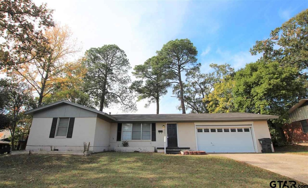 3325 3325 Paluxy, Tyler, TX 75701 - photo 1