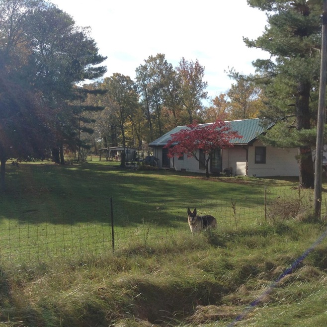29430 State Road 2, New Carlisle, IN 46552 - photo 1