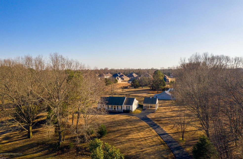 Drone View