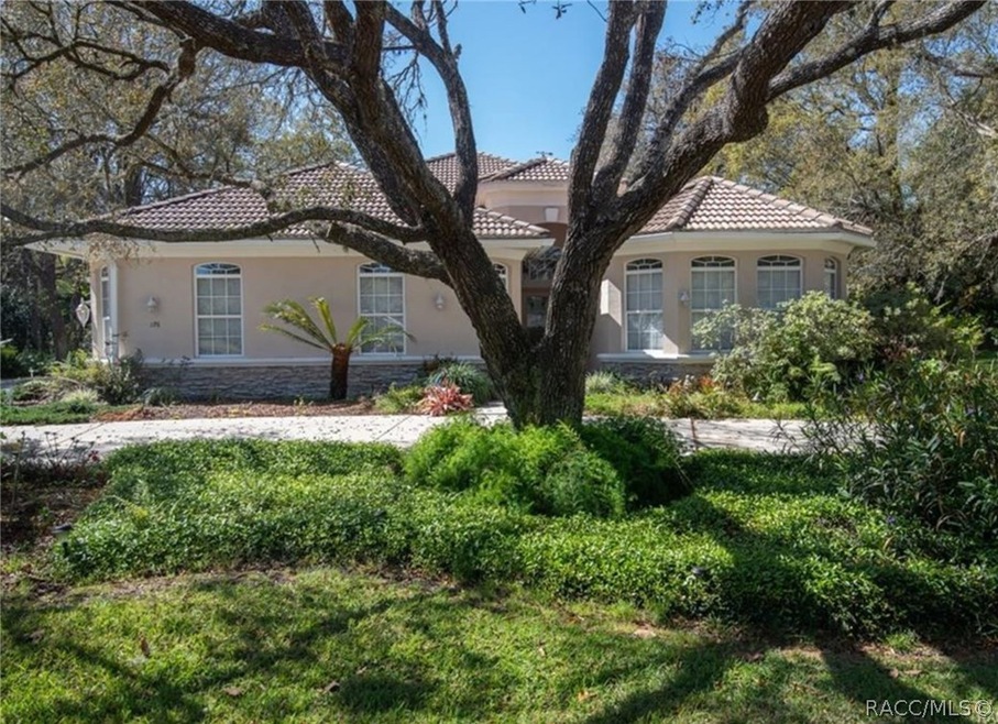 276 E Joplin Ct, Hernando, FL 34442 - photo 1