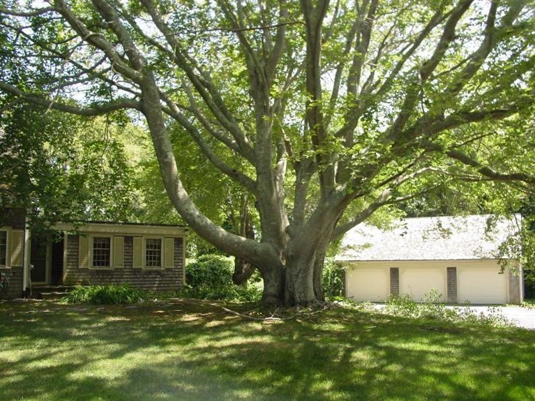 27 Pine St, Sandwich, MA 02563 - photo 1