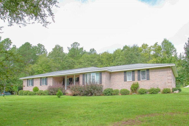 Main View
