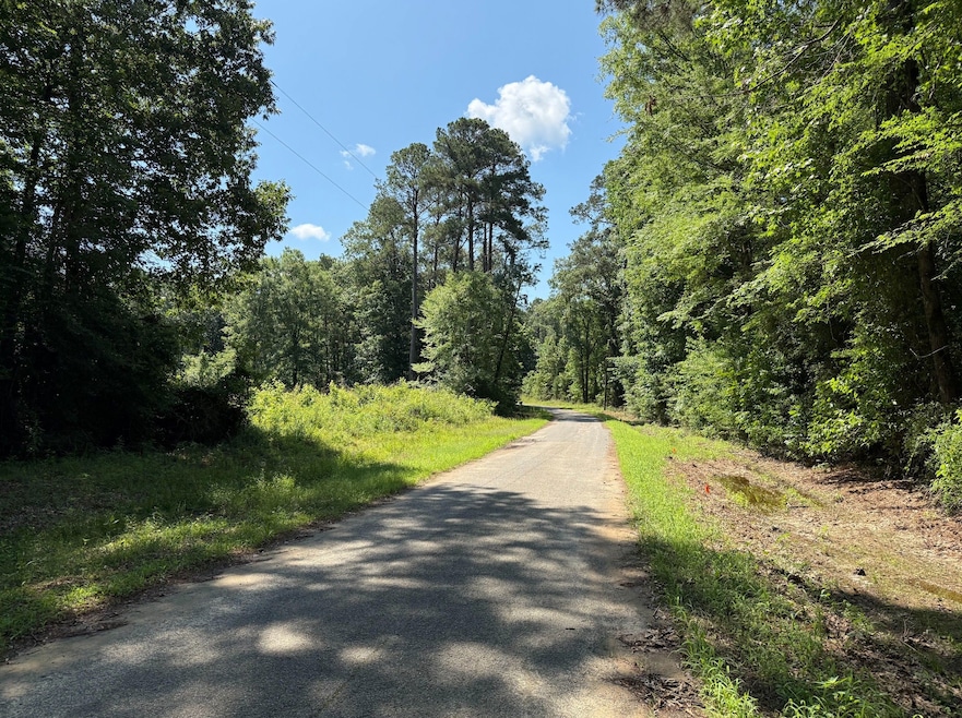 0 Zoar Rd unit Louisiana 71226, Chatham, LA 71226 - photo 1