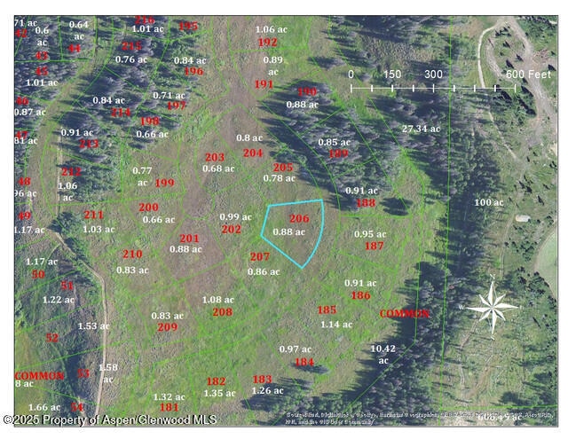 TBD Wiffle Tree Trail, Oak Creek, CO 80467 - photo 1