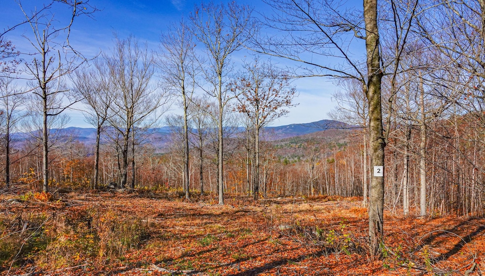 Lot 2 Mine Rd, Stoneham, ME 04231 - photo 1